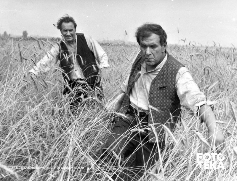 Fotosy do filmu „Sami swoi” / Autor: Julian Magda / Źródło: FINA