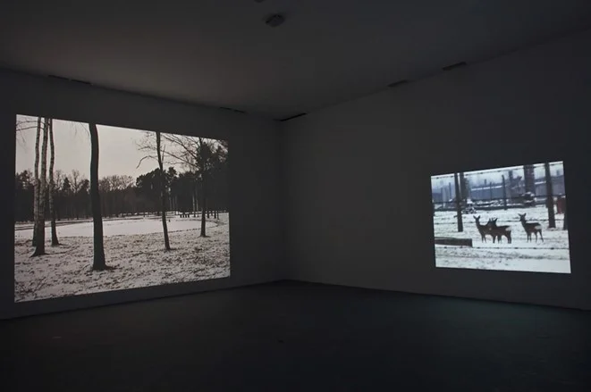 Mirosław Bałka w Winterreise (Bambi, The Pond) (2003) Kolekcja CSW ZU